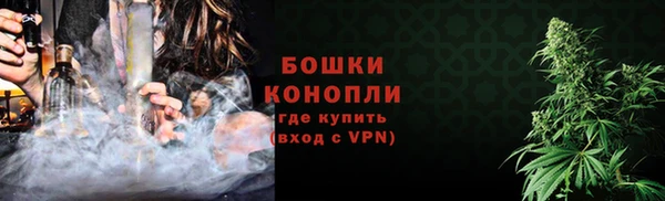 шишки Абаза