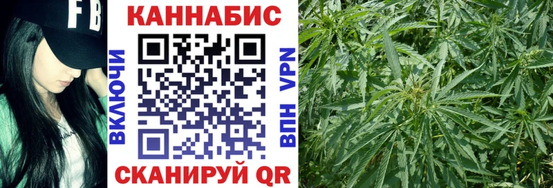даркнет как зайти  Удомля  Бошки Шишки план 